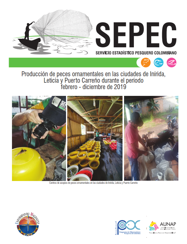 Producción de peces ornamentales en Inirida, Leticia y Puerto Carreño