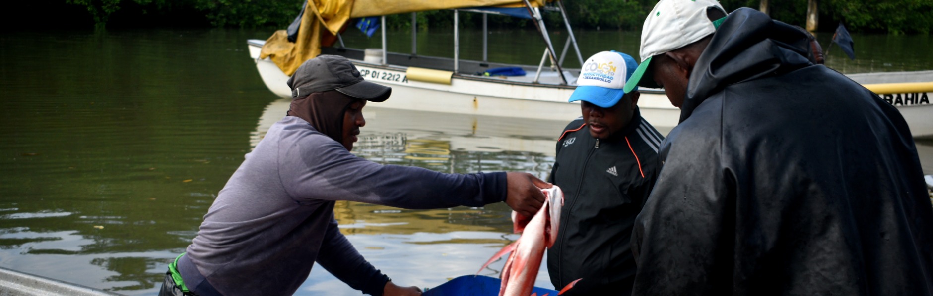 Carousel Bootstrap Fourth